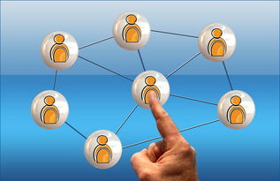 开云体育足球-冠军球队社会责任项目获社区高度评价与广泛参与，冠军组织的定义